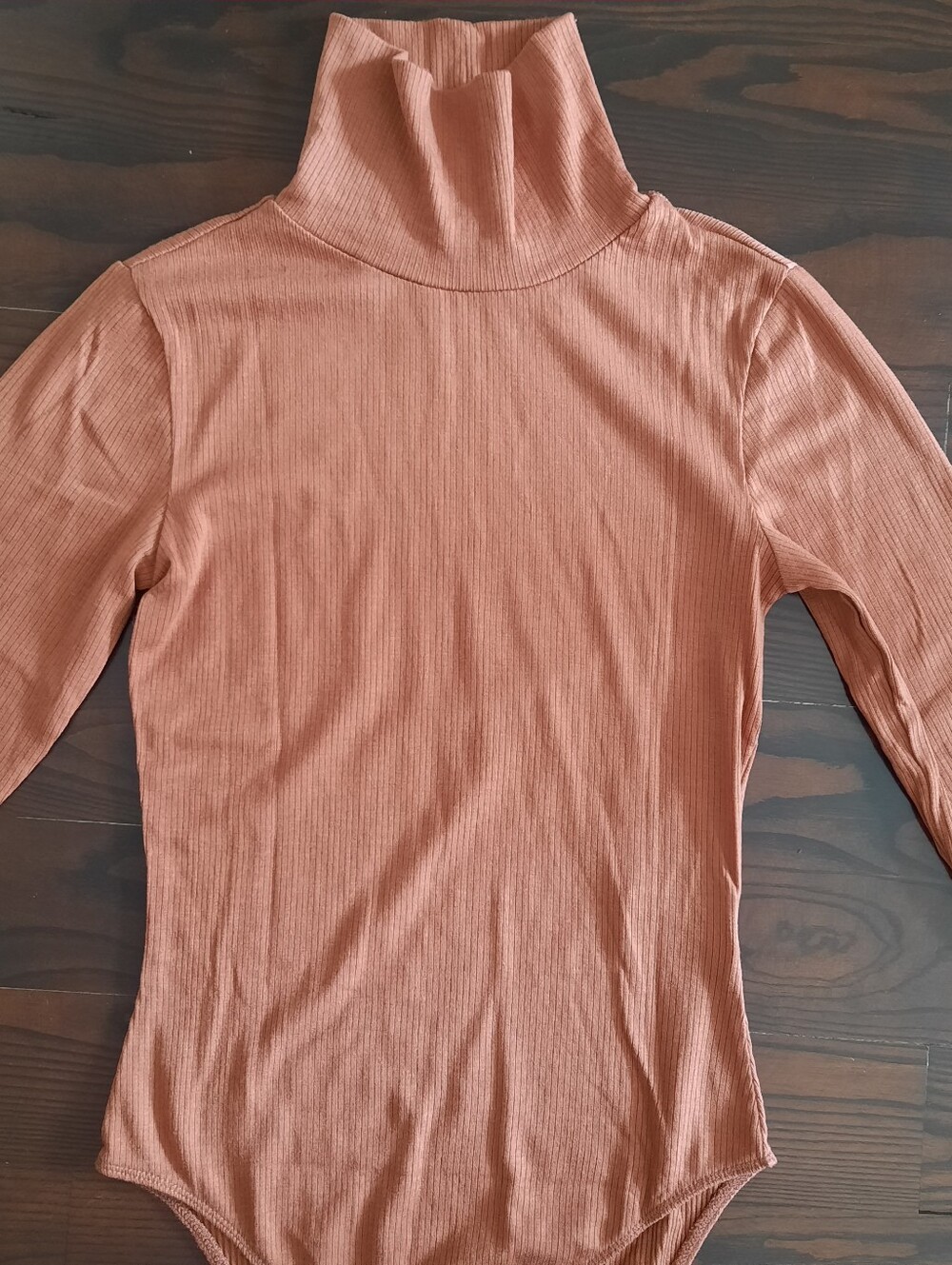 Everlane Ribbed Turtleneck Bodysuit - Rust